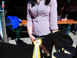 2019_ausstellung polling_375